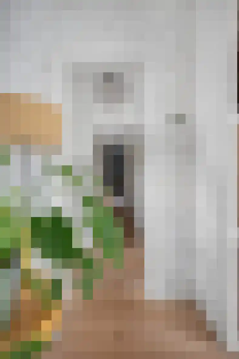 Petrus Dondersstraat 114 Eindhoven thumbnail 22