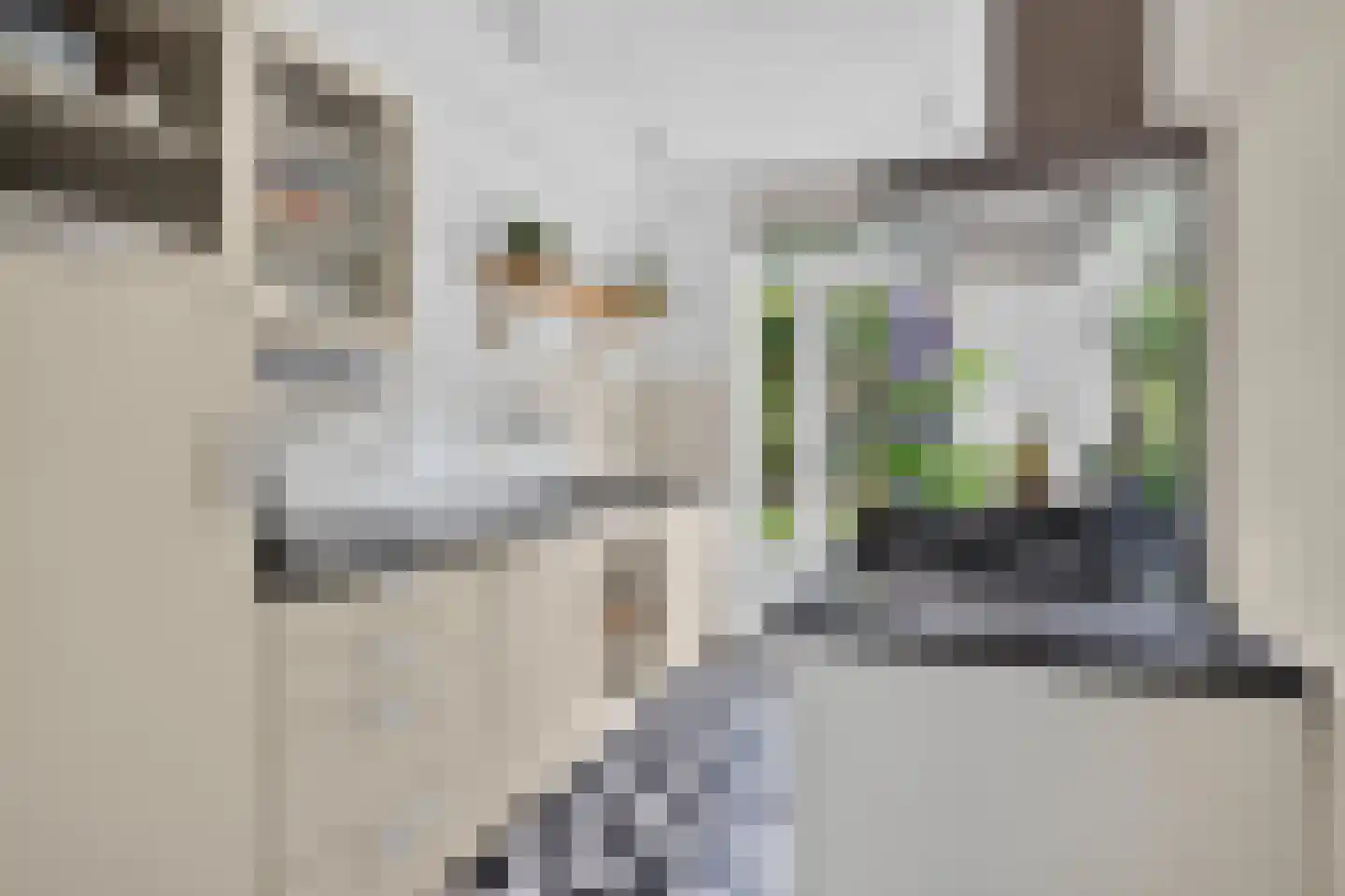 Petrus Dondersstraat 114 Eindhoven thumbnail 23