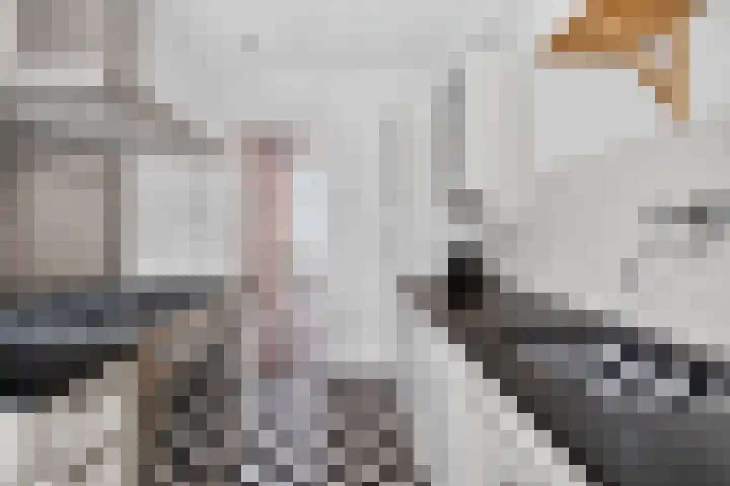 Petrus Dondersstraat 114 Eindhoven thumbnail 24