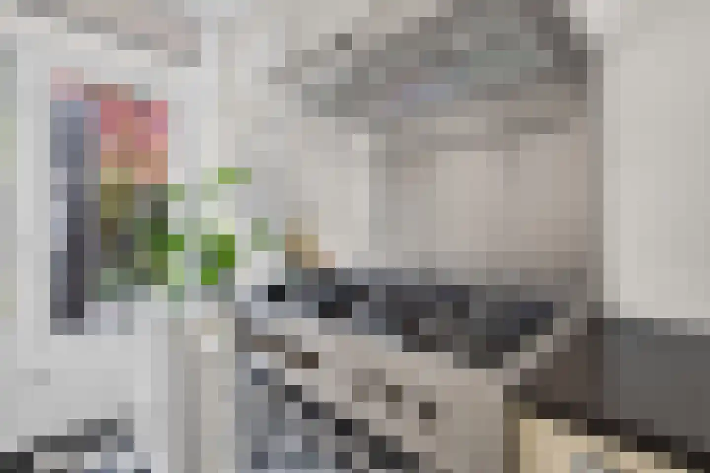 Petrus Dondersstraat 114 Eindhoven thumbnail 25
