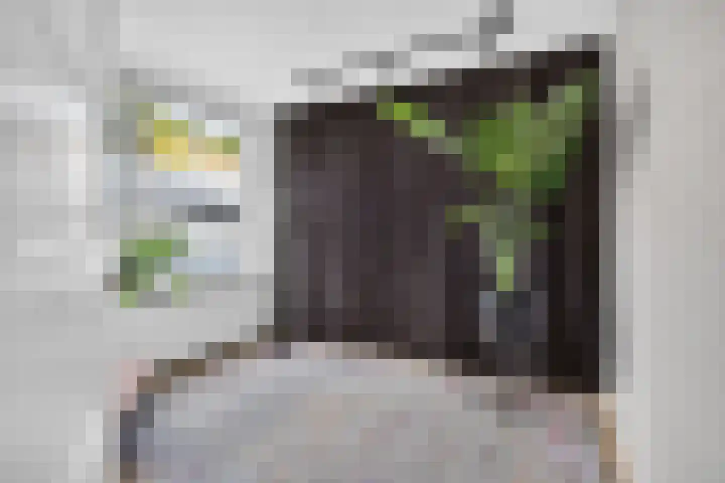 Petrus Dondersstraat 114 Eindhoven thumbnail 27