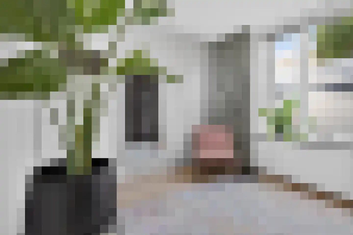 Petrus Dondersstraat 114 Eindhoven thumbnail 29