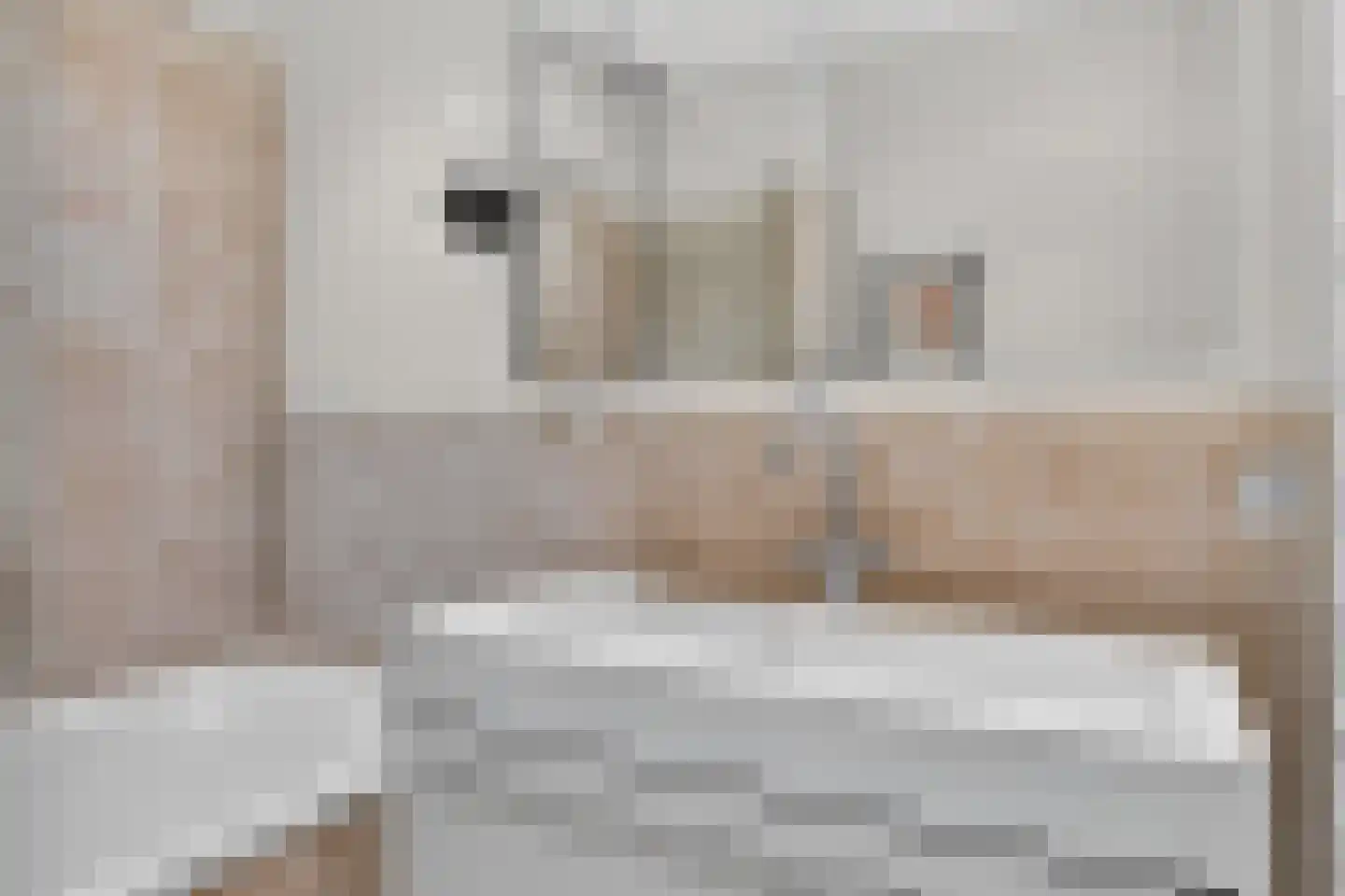 Petrus Dondersstraat 114 Eindhoven thumbnail 35