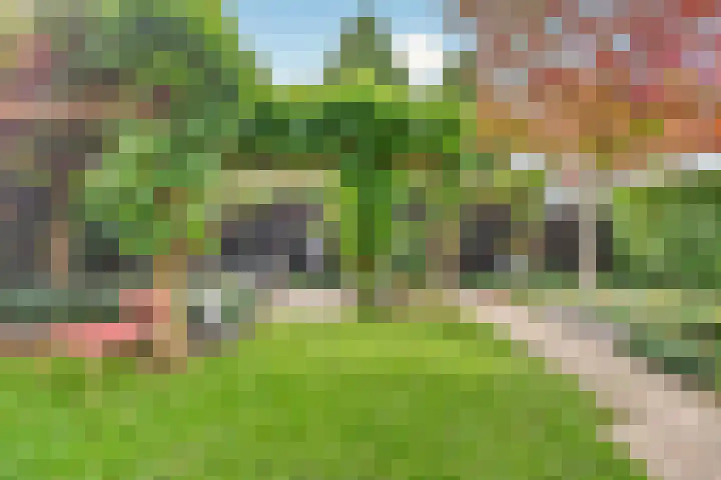Petrus Dondersstraat 114 Eindhoven thumbnail 38