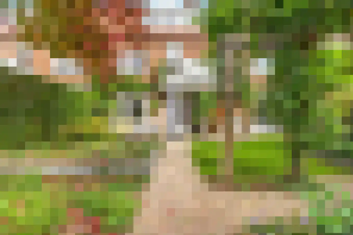 Petrus Dondersstraat 114 Eindhoven thumbnail 40