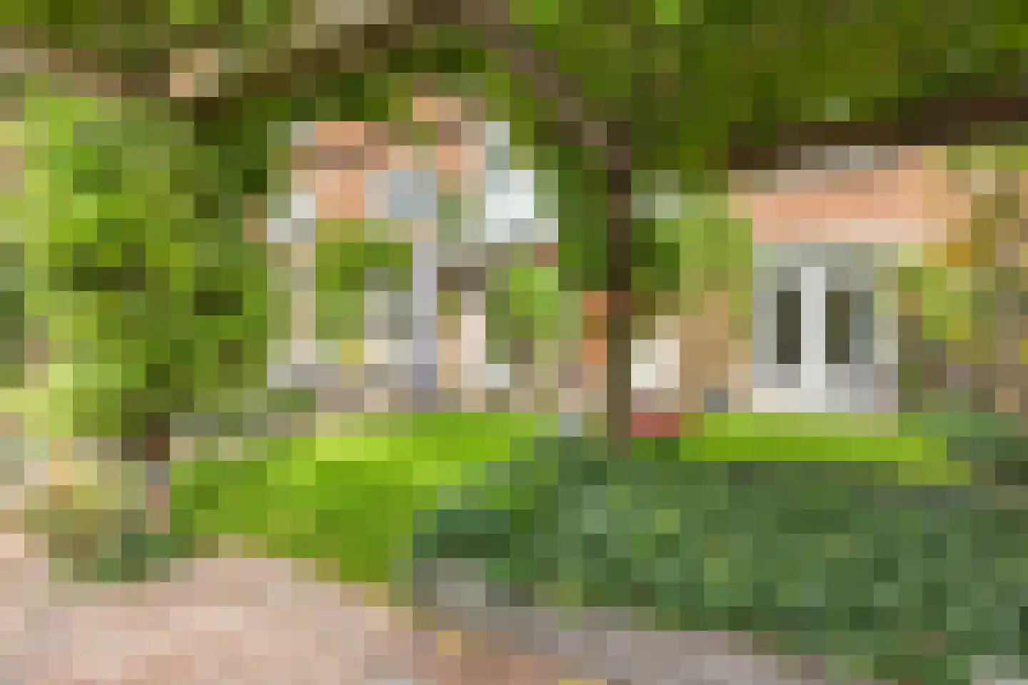 Petrus Dondersstraat 114 Eindhoven thumbnail 41