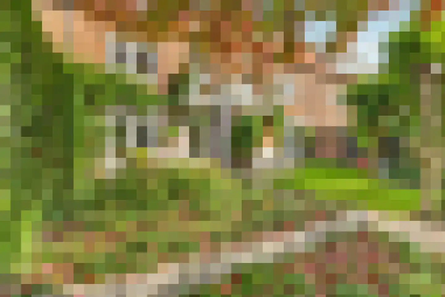 Petrus Dondersstraat 114 Eindhoven thumbnail 42