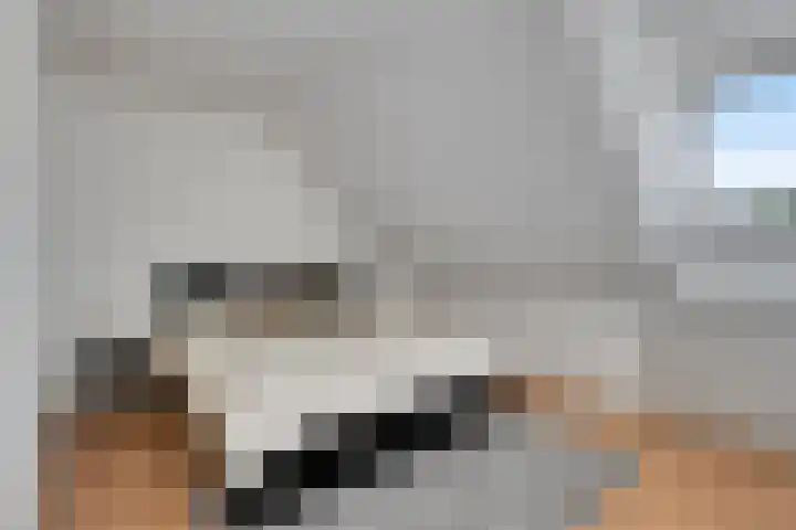 Petrus Dondersstraat 118 Eindhoven thumbnail 21