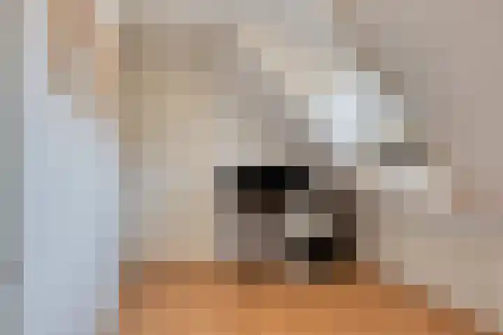 Petrus Dondersstraat 118 Eindhoven thumbnail 24