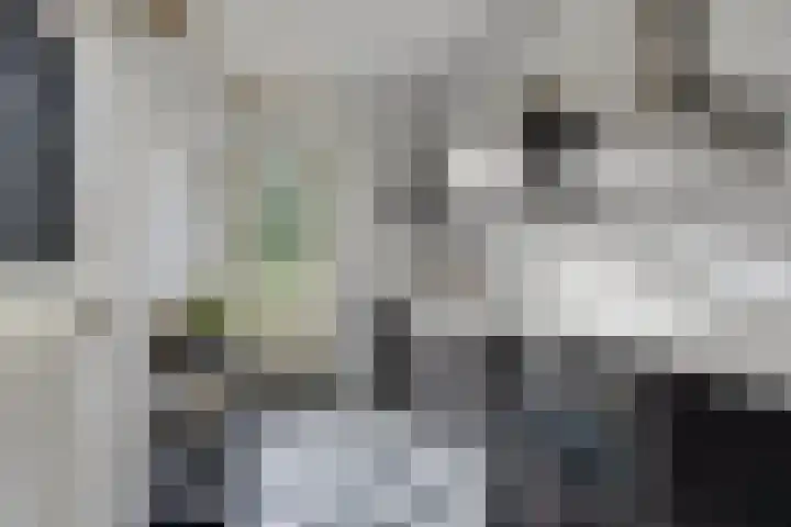 Petrus Dondersstraat 118 Eindhoven thumbnail 7