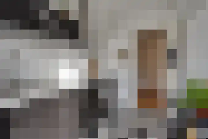 Petrus Dondersstraat 118 Eindhoven thumbnail 8