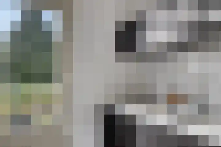 Petrus Dondersstraat 118 Eindhoven thumbnail 9