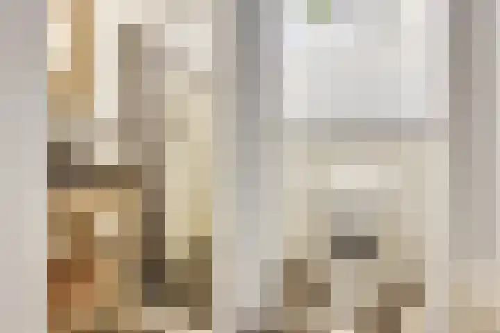Petrus Dondersstraat 124 Eindhoven thumbnail 22