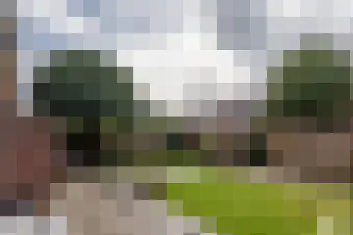 Petrus Dondersstraat 124 Eindhoven thumbnail 30