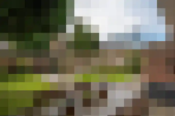 Petrus Dondersstraat 124 Eindhoven thumbnail 31