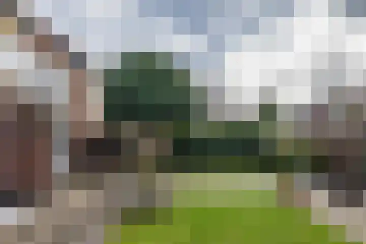 Petrus Dondersstraat 124 Eindhoven thumbnail 33