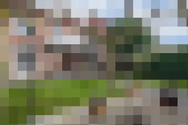 Petrus Dondersstraat 124 Eindhoven thumbnail 34