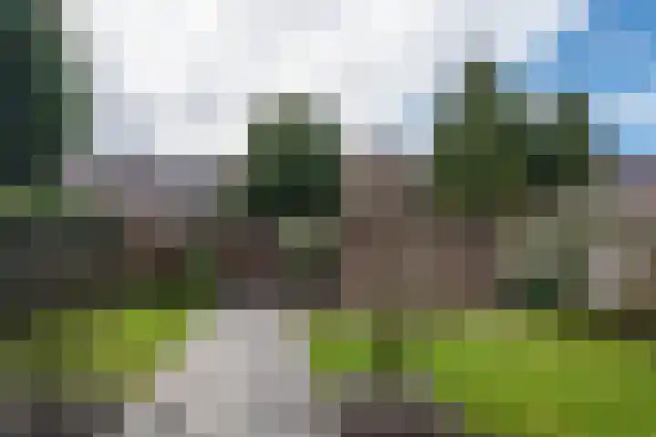 Petrus Dondersstraat 124 Eindhoven thumbnail 5
