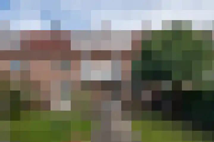 Petrus Dondersstraat 124 Eindhoven thumbnail 6