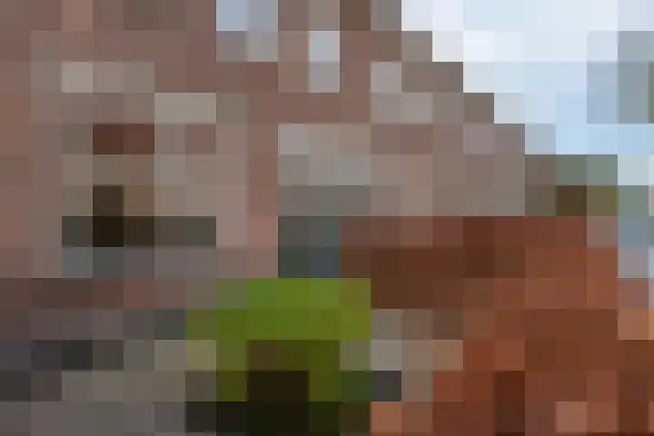 Petrus Dondersstraat 124 Eindhoven thumbnail 7
