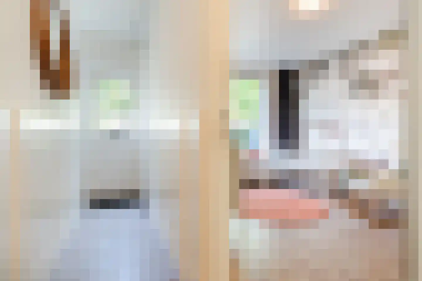 Petrus Dondersstraat 135 Eindhoven thumbnail 16