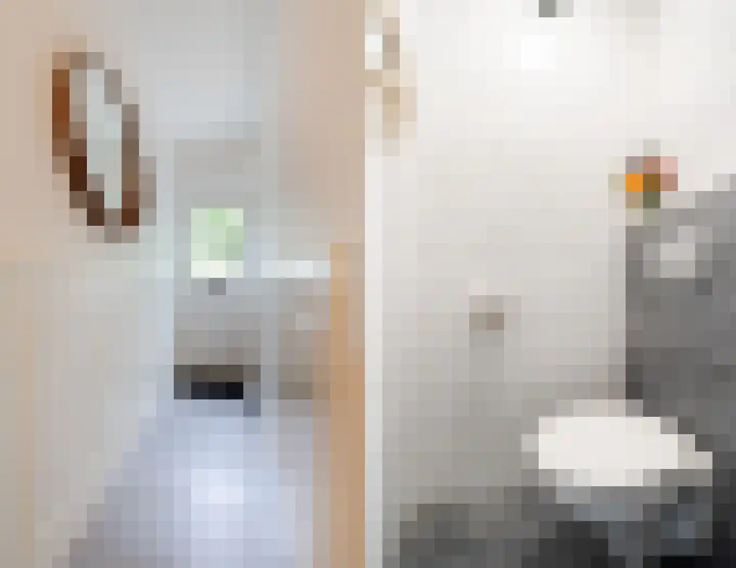 Petrus Dondersstraat 135 Eindhoven thumbnail 23
