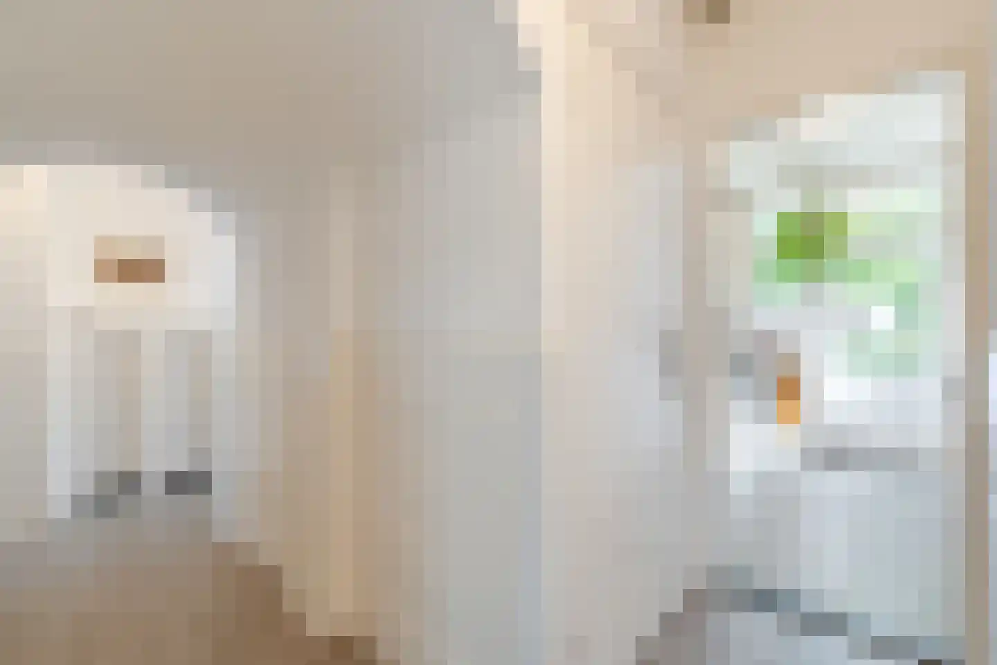 Petrus Dondersstraat 135 Eindhoven thumbnail 25