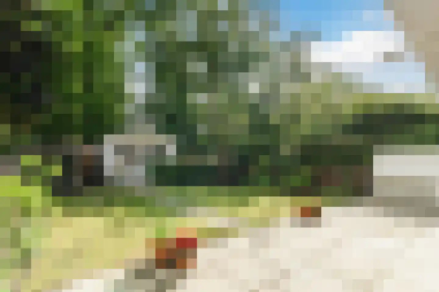 Petrus Dondersstraat 135 Eindhoven thumbnail 31