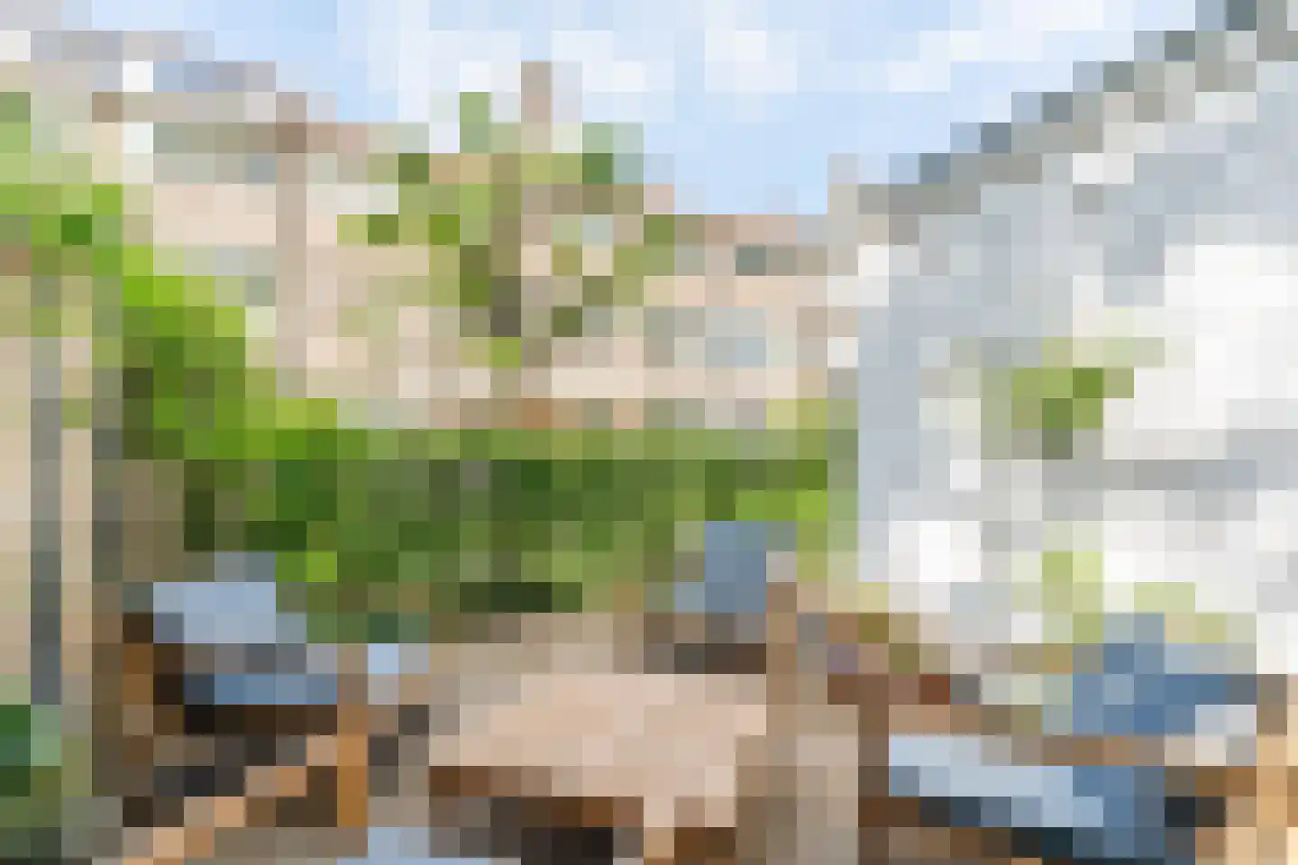 Petrus Dondersstraat 135 Eindhoven thumbnail 34