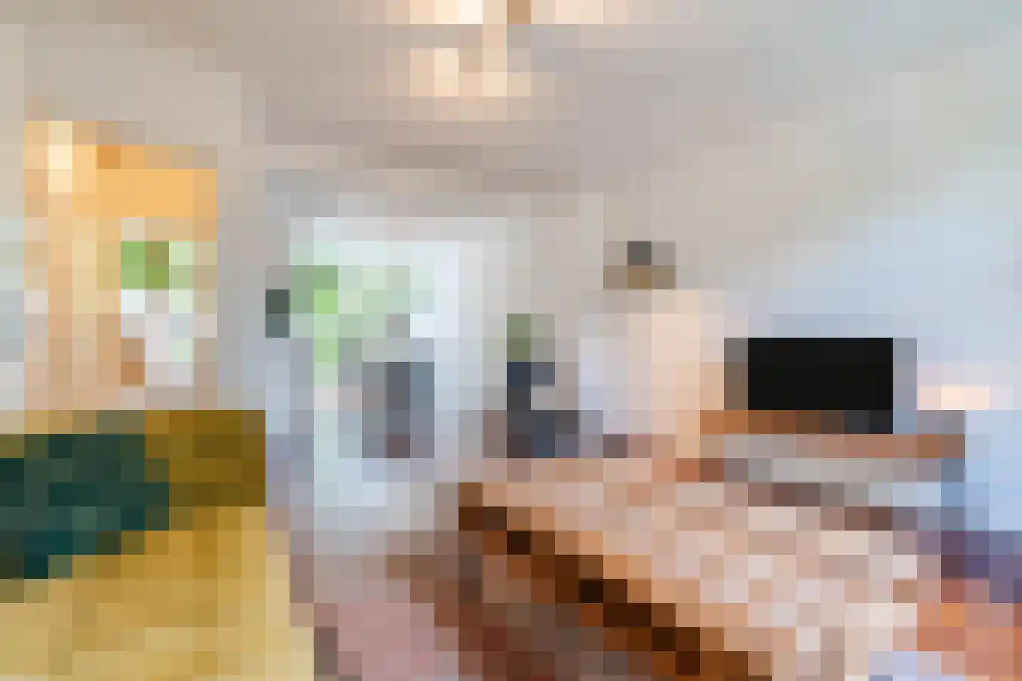 Petrus Dondersstraat 135 Eindhoven thumbnail 4
