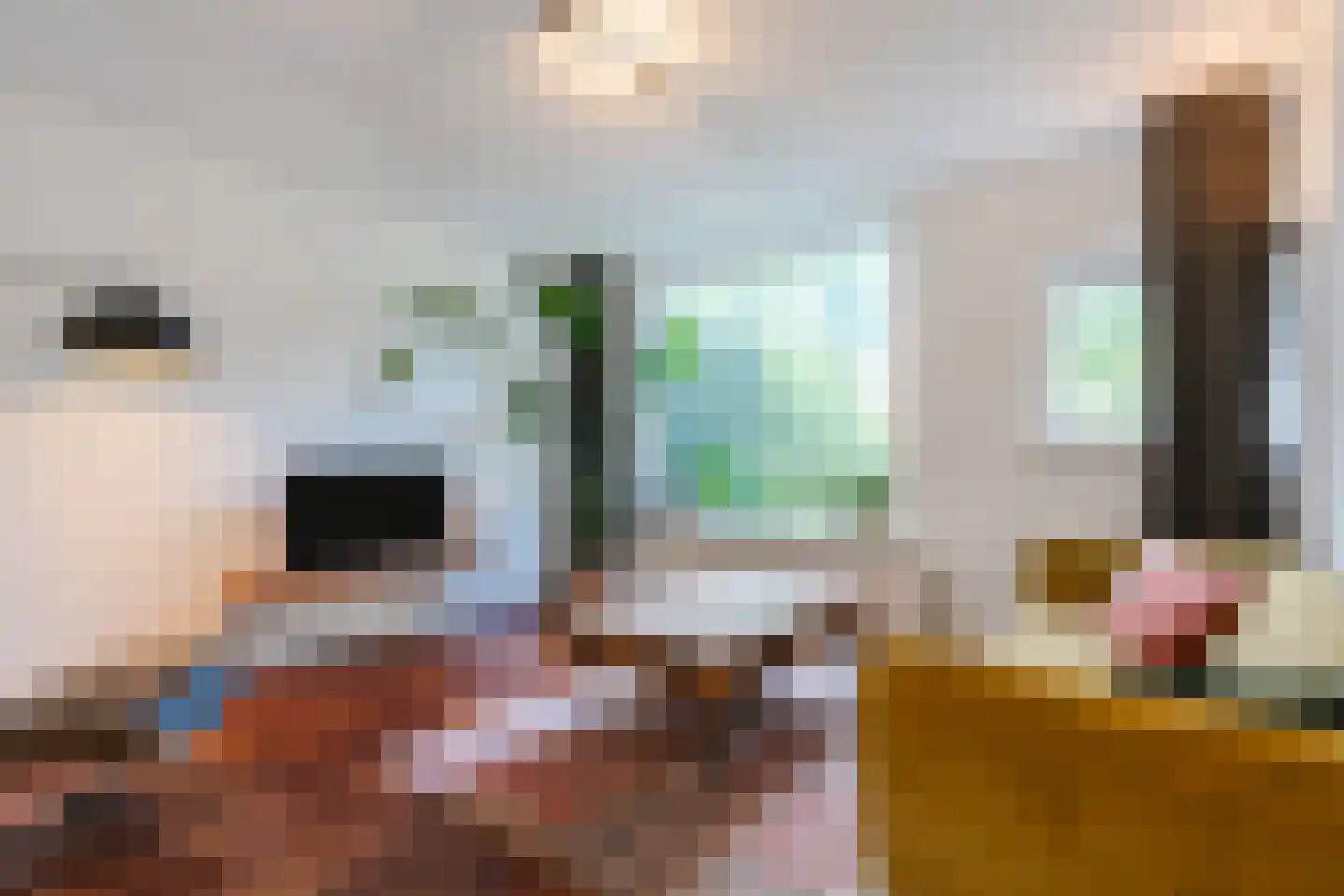 Petrus Dondersstraat 135 Eindhoven thumbnail 5