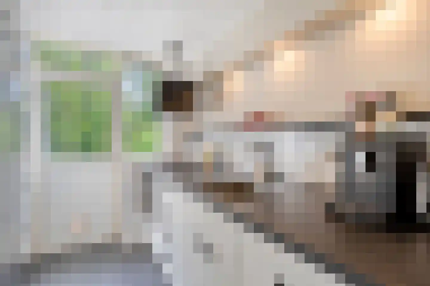 Petrus Dondersstraat 137 Eindhoven thumbnail 10