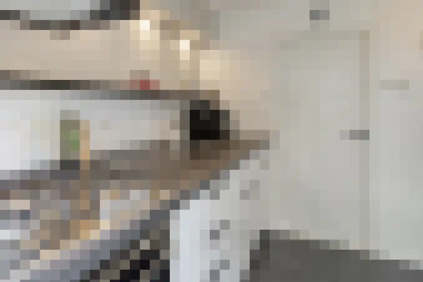 Petrus Dondersstraat 137 Eindhoven thumbnail 11