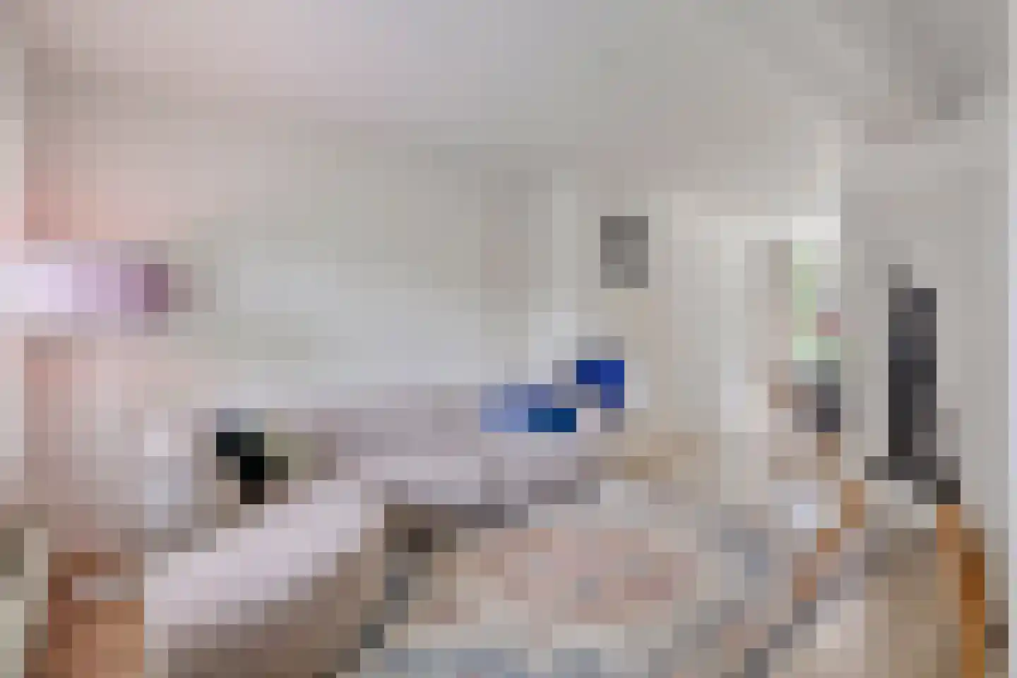 Petrus Dondersstraat 137 Eindhoven thumbnail 18