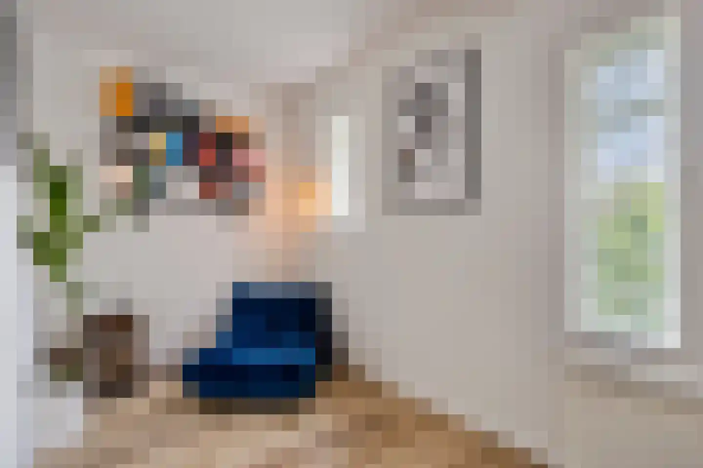 Petrus Dondersstraat 137 Eindhoven thumbnail 19