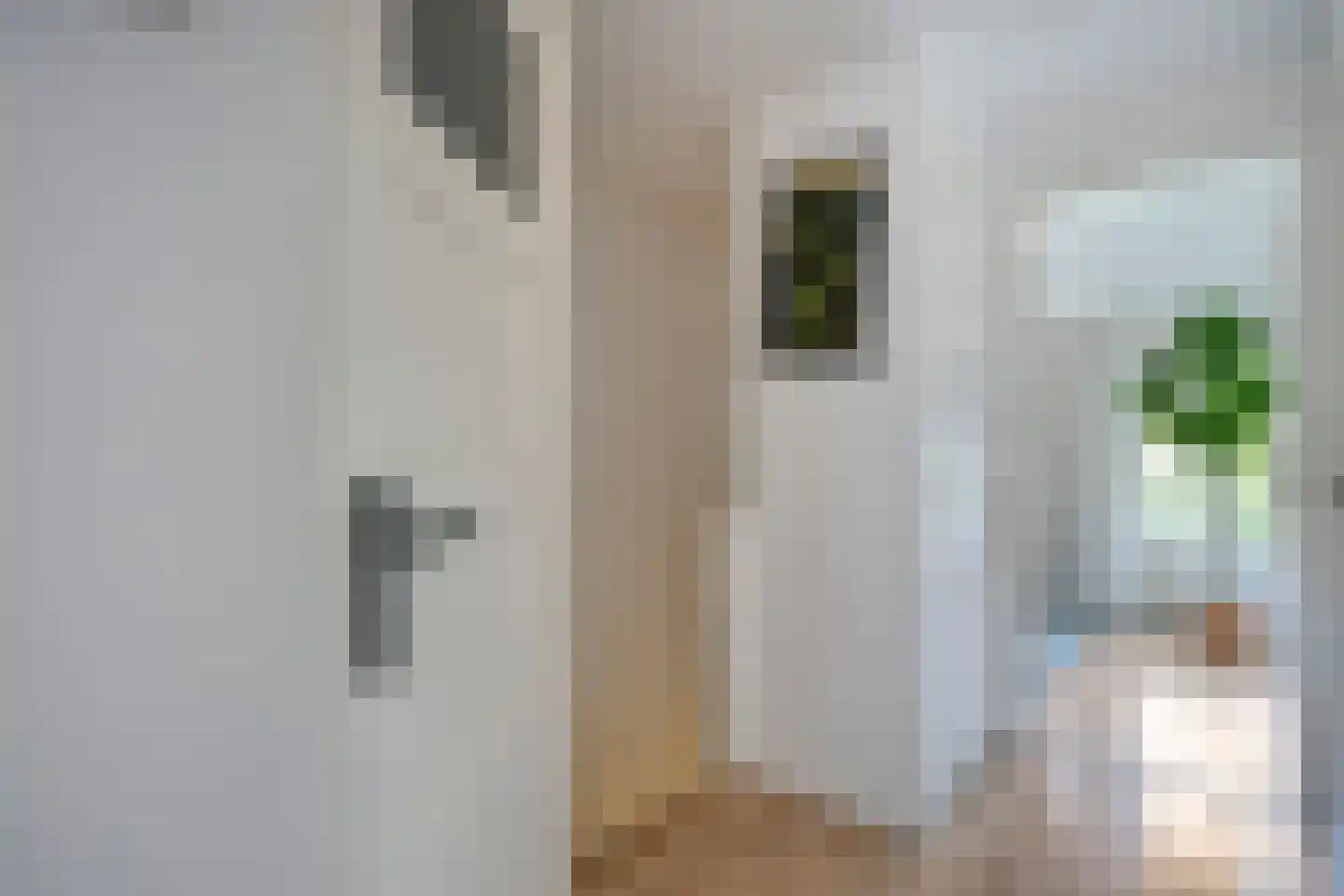 Petrus Dondersstraat 137 Eindhoven thumbnail 21