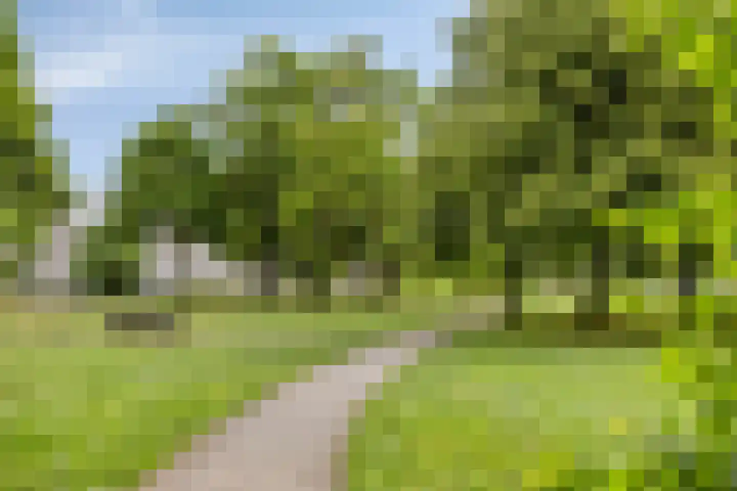 Petrus Dondersstraat 137 Eindhoven thumbnail 42