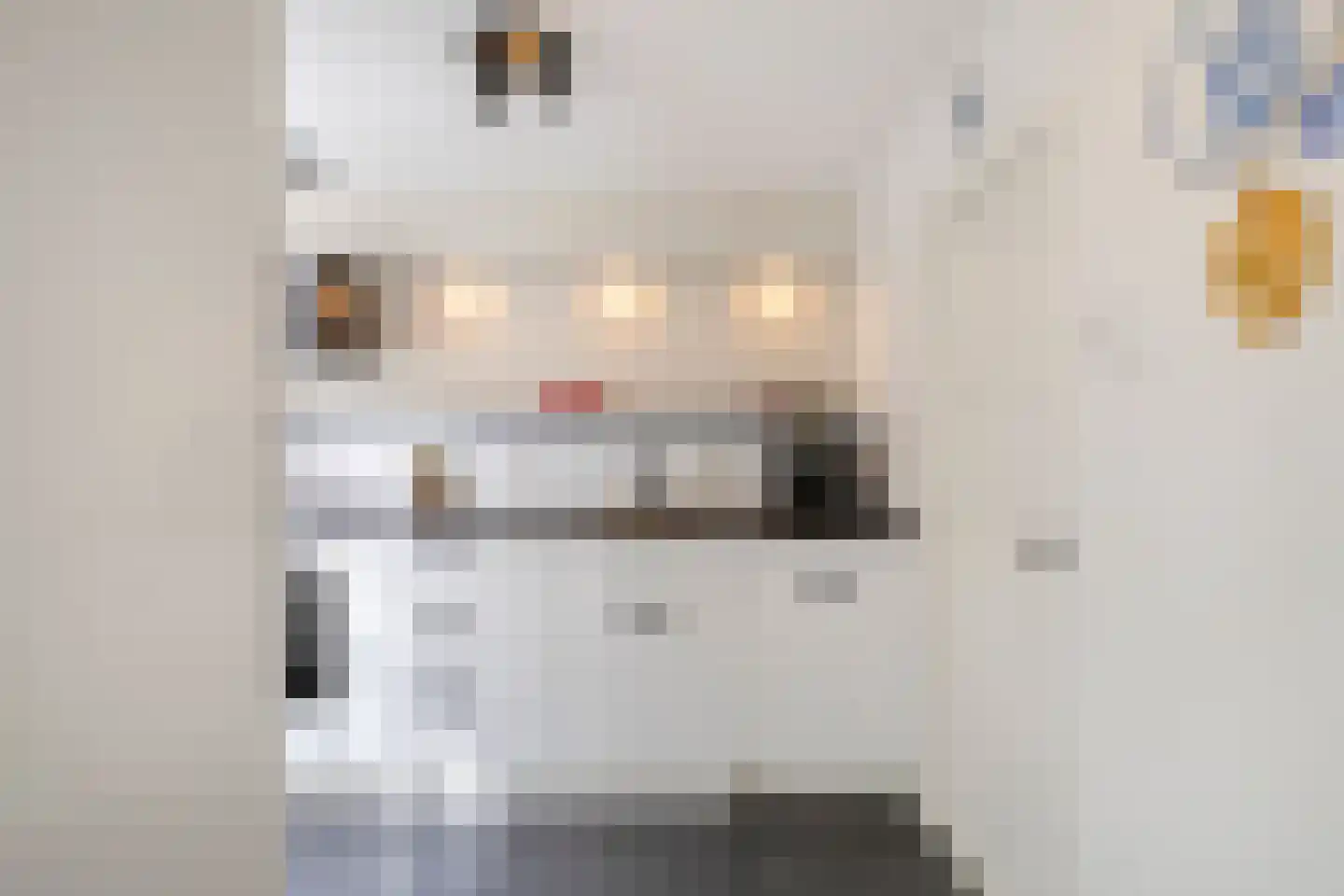Petrus Dondersstraat 137 Eindhoven thumbnail 9