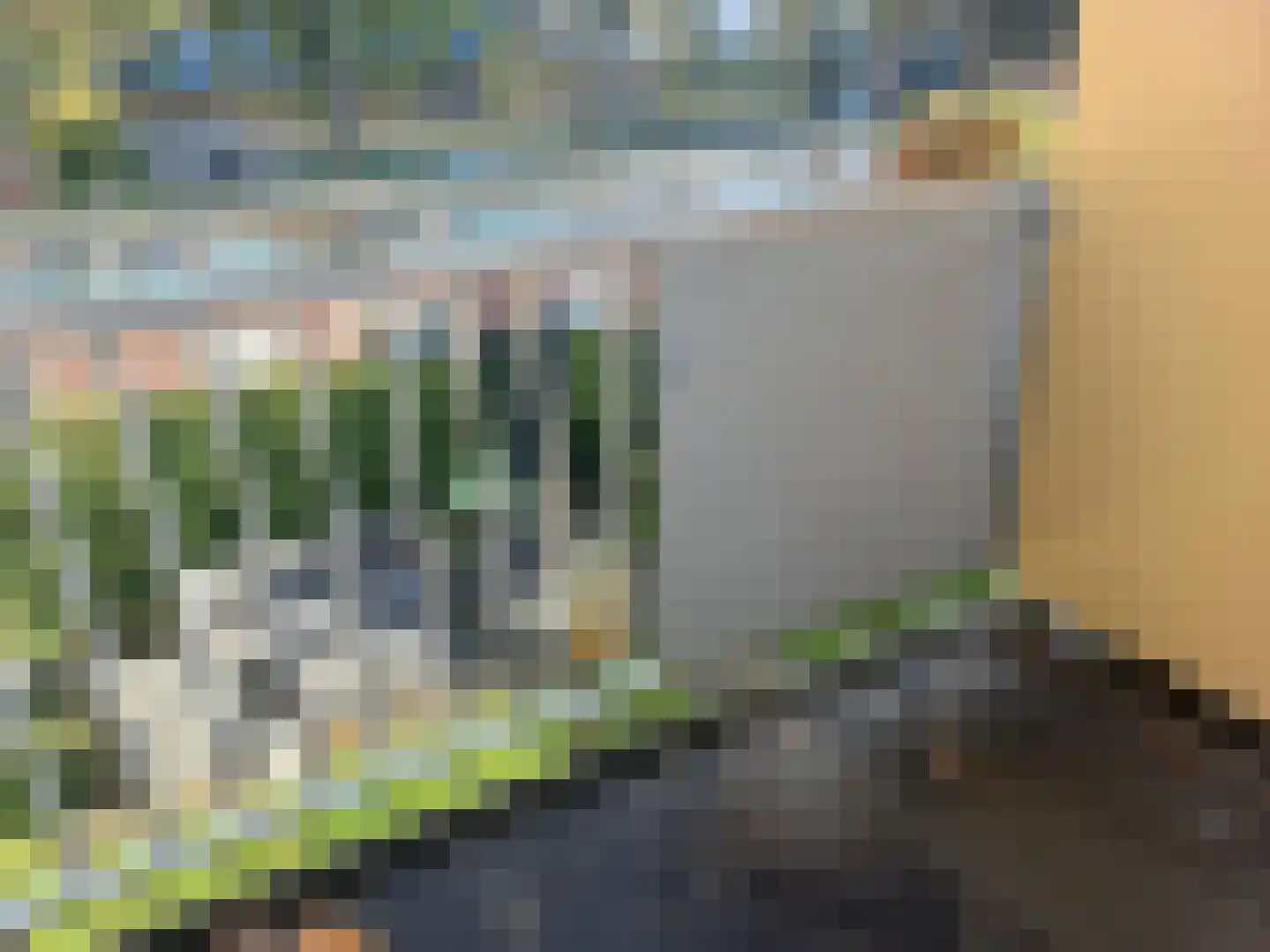 Petrus Dondersstraat 147 Eindhoven thumbnail 5
