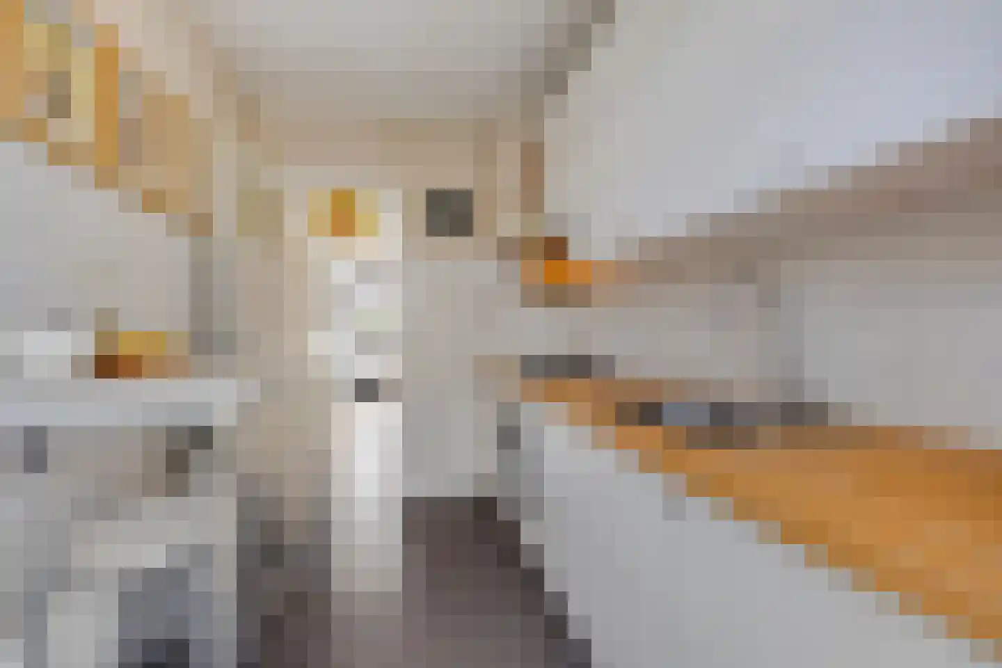 Petrus Dondersstraat 151 Eindhoven thumbnail 15