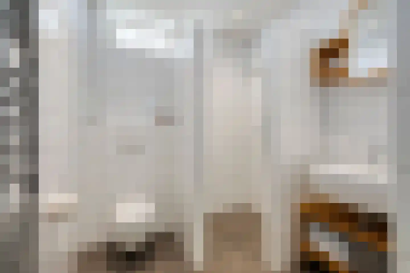 Petrus Dondersstraat 151 Eindhoven thumbnail 19