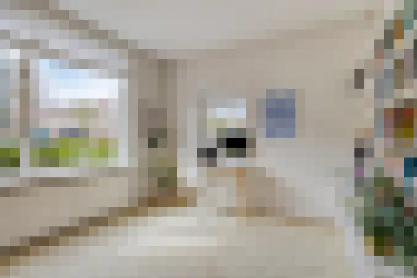 Petrus Dondersstraat 151 Eindhoven thumbnail 21