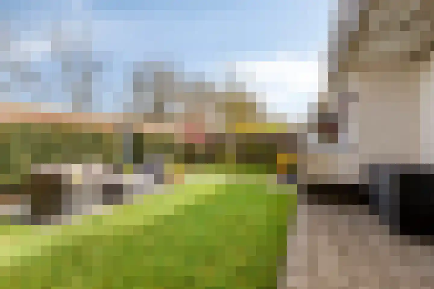 Petrus Dondersstraat 151 Eindhoven thumbnail 27