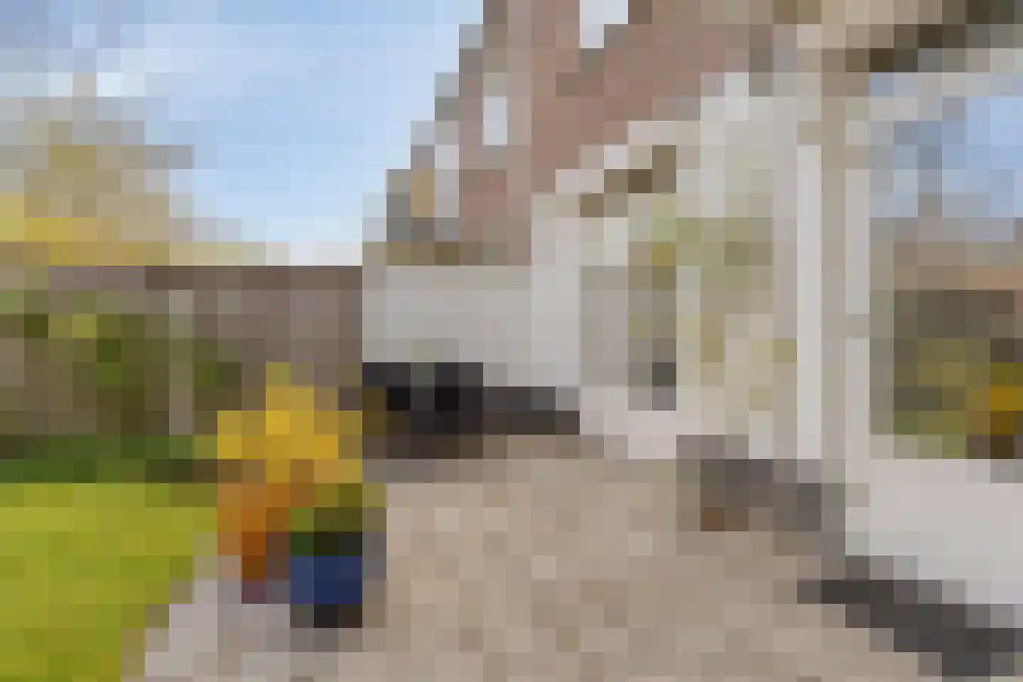 Petrus Dondersstraat 151 Eindhoven thumbnail 28
