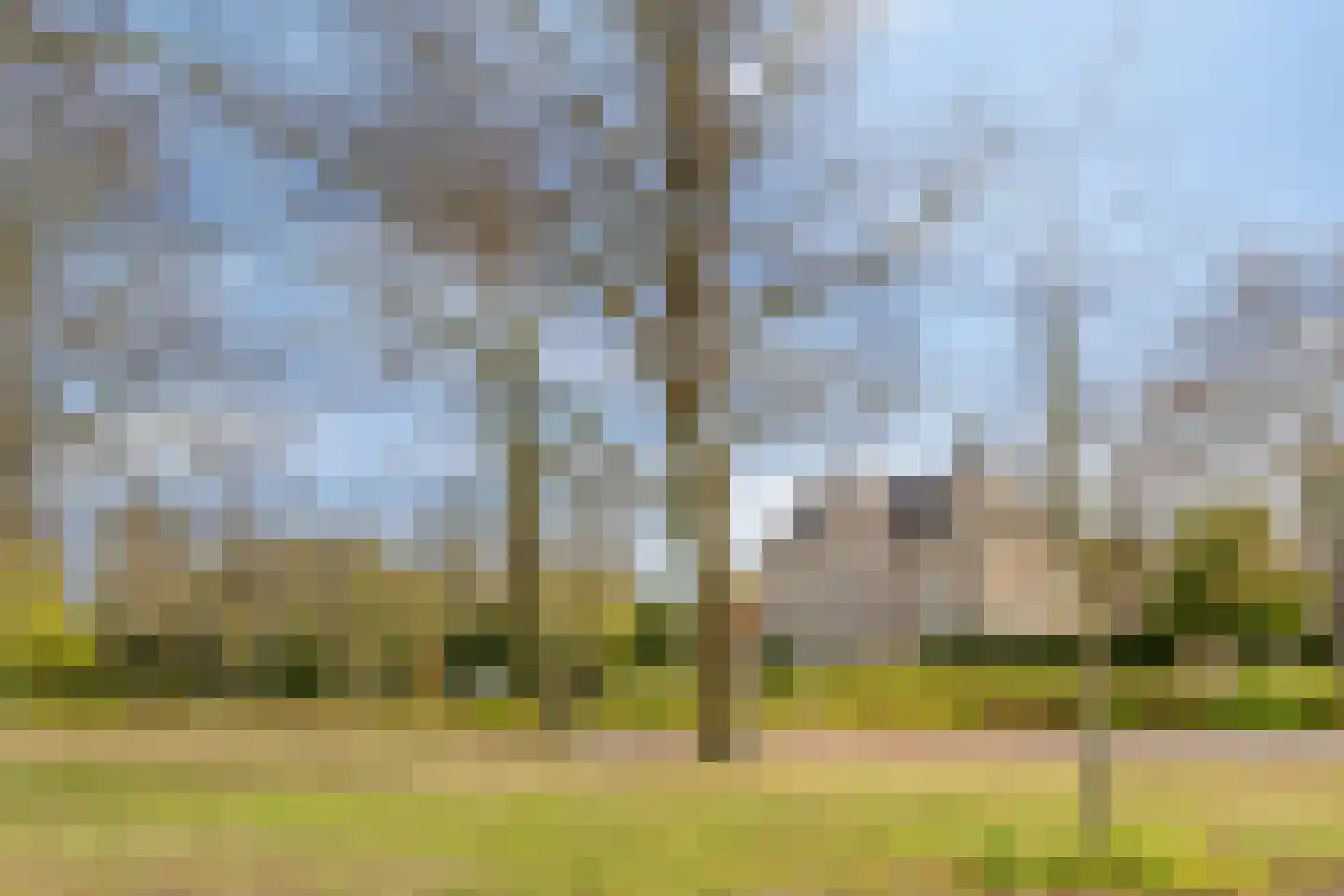 Petrus Dondersstraat 151 Eindhoven thumbnail 37