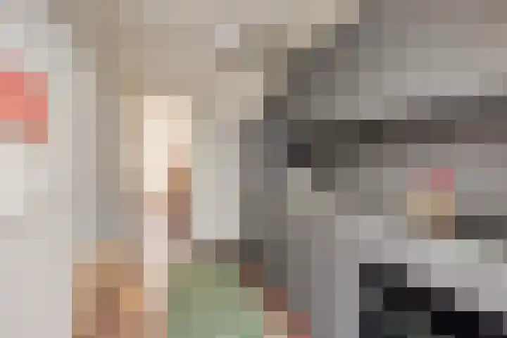 Petrus Dondersstraat 163 Eindhoven thumbnail 13