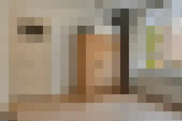 Petrus Dondersstraat 163 Eindhoven thumbnail 17