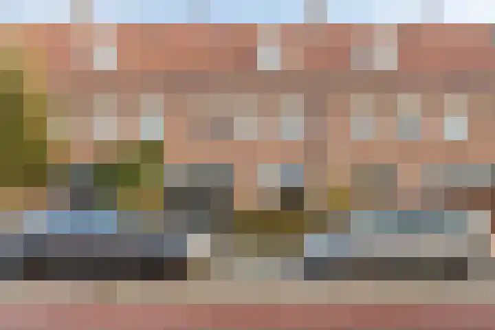 Petrus Dondersstraat 163 Eindhoven thumbnail 4