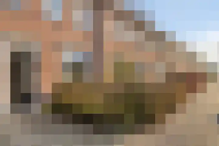 Petrus Dondersstraat 163 Eindhoven thumbnail 5