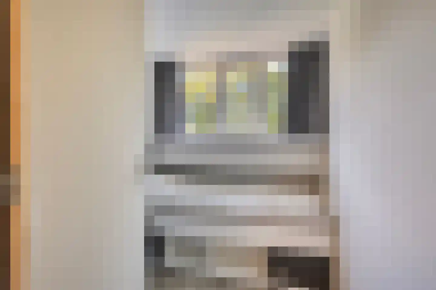 Petrus Dondersstraat 169 Eindhoven thumbnail 25
